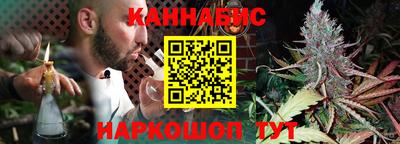 индика Тула