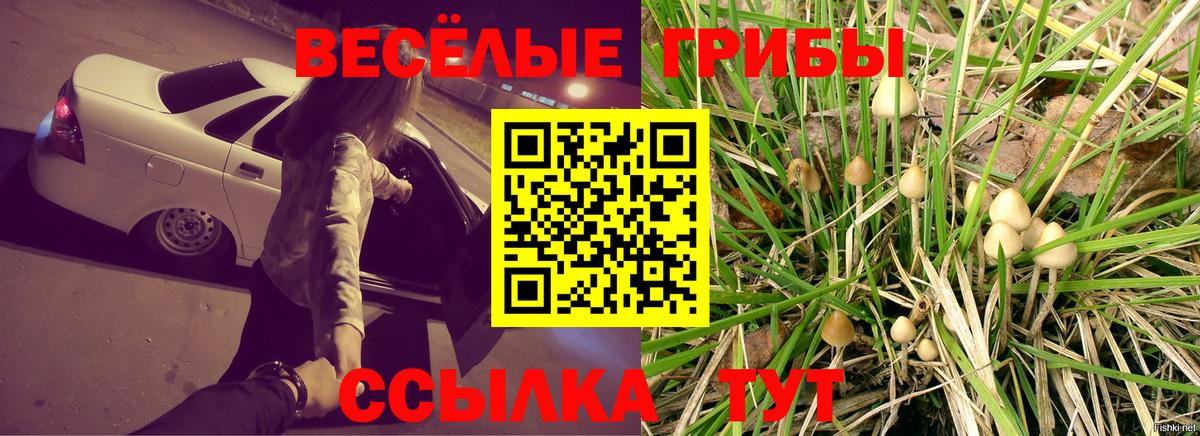 Баксан  Галлюциногенные грибы мухоморы  наркотики  Псилоцибиновые грибы Psilocybe  Вход с VPN 